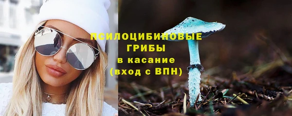 PSILOCYBIN Новодвинск