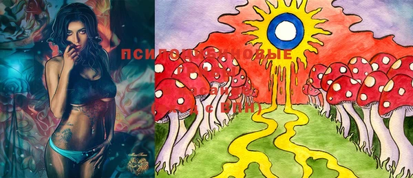 PSILOCYBIN Новодвинск