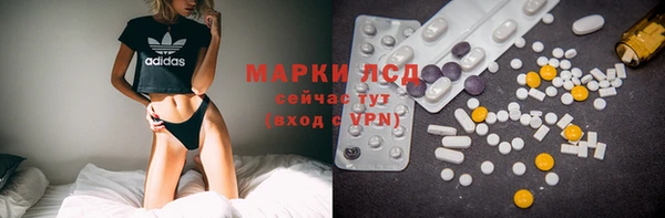 ALPHA-PVP Новозыбков
