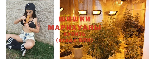 PSILOCYBIN Новодвинск