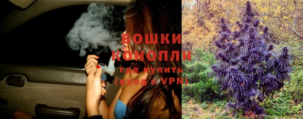 ALPHA-PVP Новозыбков