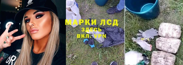 PSILOCYBIN Новодвинск