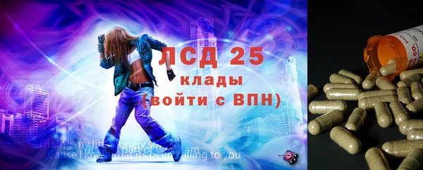 прущие крисы Новокубанск