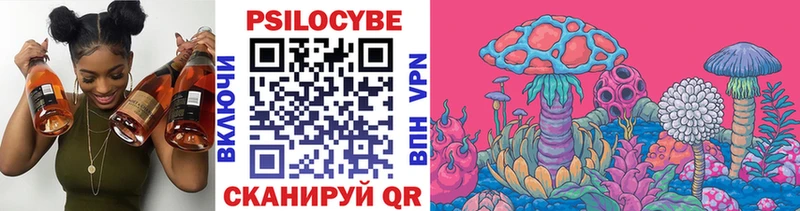 Галлюциногенные грибы мухоморы  Купить где  Камешково 